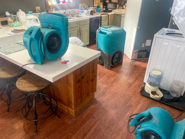 Best Fire Damage Restoration  in Highland Village, TX