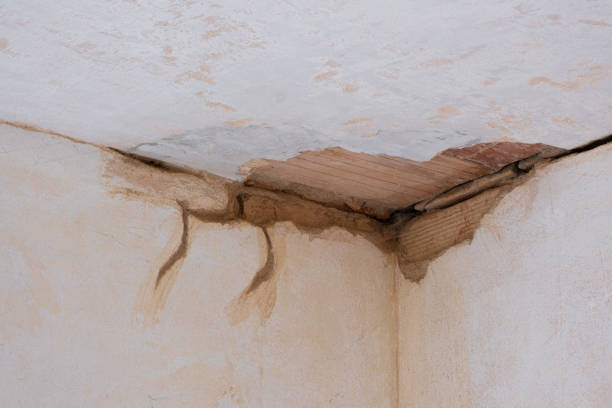 Best Water damage contractors near me  in Highland Village, TX