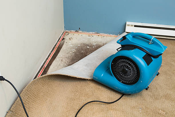 Best Water damage restoration near me  in Highland Village, TX